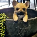 루점빵 | 하동 대형 카페 추천 | '더로드101'에서 Healing 하세요