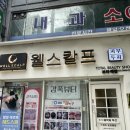 보라매웰종합동물병원 | [보라매 두피관리] 정말 잘하는 웰스칼프 림프관리를 통한 힐링