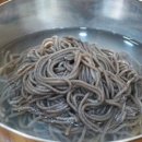 복례맛집