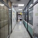 인셀덤서현