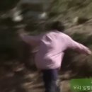 보은주유소