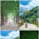 큰맘할매순대국 영월남면점 이미지