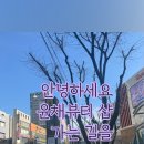 윤채뷰티샵