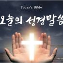 사론의 꽃