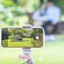 애견시선 이미지