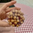 인천 그릭요거트 ,건어물,답례품 전문점 맛나마켓