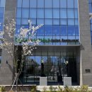 더테이블 | 해운대 양식 온더테이블 나폴리화덕피자 제대로 즐긴 후기