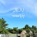 개떼목장