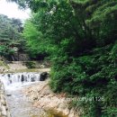 만해마을위 이미지