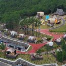 숲속의야영장 이미지