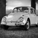 등화주유소 이미지