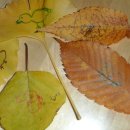 단풍 그림 그리기대회 - 아이숲터에서 이미지