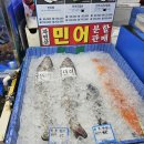 노량진 수산시장 회맛집 박수쳤던 신선도 드디어 정착한 회맛집 푸른바다