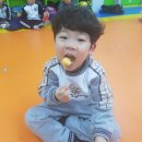 비룡 키즈 태권도 이미지