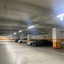 24시큰사랑동물병원 | 아산 동물병원 노령견 건강검진 가격 24시 리엔동물의료센터 찐후기