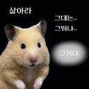 그린레코드 이미지