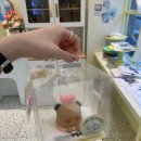 달콤케이크 | 서면 전포 레터링 당일케이크 옐로우썸머 달콤미케이크 내돈내산솔직후기