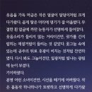 블루닷(BLUE DOT)