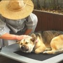 반야농장 이미지