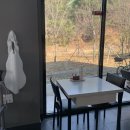 갈밭로 | 대곡동 맛집 '100세 손칼국수' 추천 후기