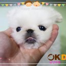 오케이주점