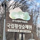 숲체원 | 국립횡성숲체원 내돈내산 후기 (앞말B1/2인실/힐링마사지프로그램/석식)