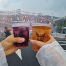 DREAM WORLD(드림월드) | [과천/서울랜드] 2026 World DJ Festival 월디페 월드디제이페스티벌 2일차 6/14 일요일 후기
