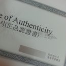 뷰티레인저스,로로피아니,로로 스키니 종아리 알패치