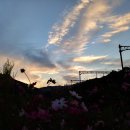 청평역 앞 이미지