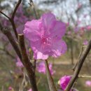 태성씨앤씨 이미지