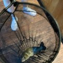 죠스실내낚시카페 이미지