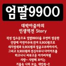 웰빙미용실 Daum카페