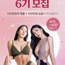 비바코리아 이미지