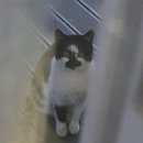 괴산농장 이미지