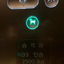 냠냠펫푸드 이미지