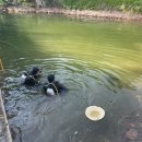 이송농장 이미지