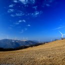 삼양목장 이미지