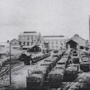 남양청과 이미지