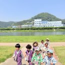 산이랑숲이랑