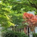 화이트블럭 이미지