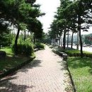 효심어린이공원 이미지