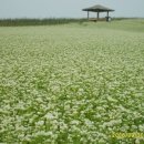 하전농장 이미지