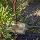 동대문구 구민체육센터 대체육관 | [성동구 서울숲복합문화 체육센터] 창밖으로 단풍을 볼수있는 수영장이 있는 구민체육센터가 있다고요