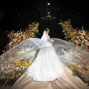 빛가람파트너스 | [공지] [Wedding12] 본식스냅 / 빛가람스냅 계약 후기 (JK아트컨벤션홀) (추천인 : 예구리)