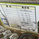 신토리신창순대뼈해장국