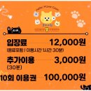 위드미 안산와동점 | [공지] 안산 고양이카페 추천, 귀여운 메인쿤들 완전 개냥이 애교냥이었던 후기, 쿤이네집