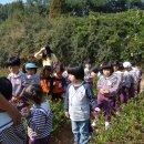 서원초교 병설 유치원 이미지