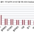 아로니아베리 (블랙쵸코베리) 이미지