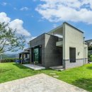 힐링위드독 이미지