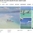 원픽 뮤직타운 | 오아후 카네오헤 샌드바 카일루아 어드벤처 20만원대 평점4.9 로컬 원픽 투어 및 쿠폰 정보 공유